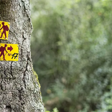 Kassandra Bay Resort, & 5* Katsaros (Skiathos)