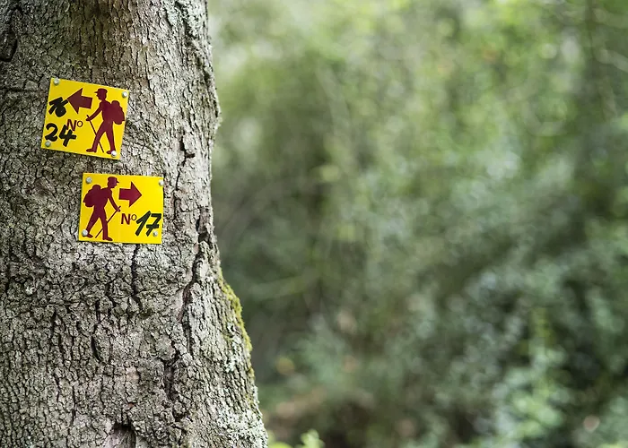 Kassandra Bay Resort, & 5* Katsaros (Skiathos)